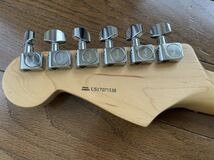Fender USA American Professional Stratocaster_画像5