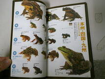 ●○ 日本のカエル　＋サンショウウオ類 （山渓ハンディ図鑑　９） ○●_画像3