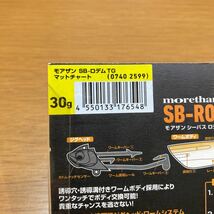 新品未使用　ダイワ　モアザン　SB-RODEM TG ロデム　30g マットチャート　シーバス　ヒラメ　ヒラスズキ_画像3