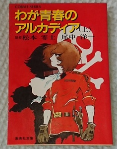 小説§尾中洋一▽わが青春のアルカディア　全２巻