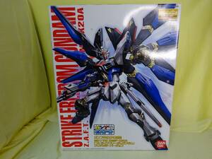 ガンプラEXPO限定品 機動戦士ガンダムSEED Destiny MG 1/100 ストライクフリーダムガンダム クリアカラーVer ZGMF-X20A プラモデル