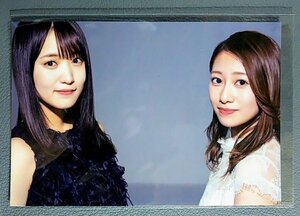 ポストカード　桜井玲香×菅井友香　渋谷TSUTAYA購入特典　ＢＵＢＫＡ　■102■