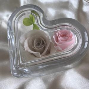 Консервированные цветы  консервированный цветок искусство four season Heart светится роза ho taru бежевый бледный розовый роза 4 . лист .k Rover ввод купить NAYAHOO.RU