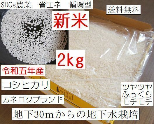 ミネラル豊富な地下水で減農薬栽培コシヒカリ　生産者直送　白米　精米したて2キロ　令和5年産新米11