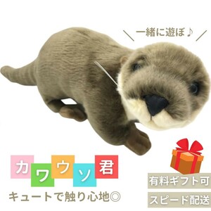 ぬいぐるみ カワウソ かわうそ 獺 抱き枕 クッション 動物 アニマル かわいい チャーミング おもちゃ ぬいぐるみ 誕生日 クリスマス ギフト