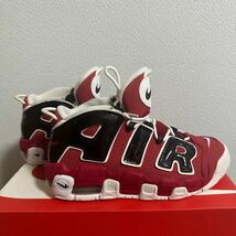 NIKE AIR MORE UPTEMPO (GS) 25cm_画像3