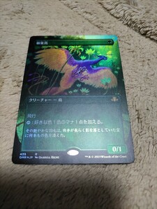 mtg 極楽鳥　日本語拡張アートfoil　ボーダーレス　DMR