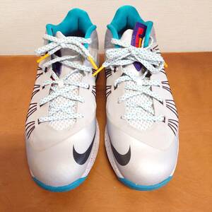 【29cm】NIKE LEBRON10 Low Akron Aeros ナイキ レブロン10 ロー