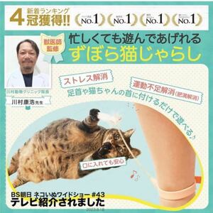 【 獣医師監修 忙しくても遊んであげれる 】ずぼら 猫 じゃらし おもちゃ 羽 ねこ ひとり遊び 運動不足 にゃんこの宿