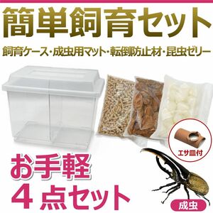 簡単飼育セット　お手軽4点セット　すぐに飼育できる！　カブトムシ・クワガタ　スターターキット　コバエ抑制　初めての昆虫飼育