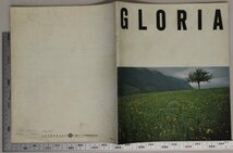 自動車カタログ『NISSAN GRORIA　グロリア』1970年頃 日産 補足:NP-G21/セダンハードトップ4ドアハードトップ/ワイドセレクション/2000GX他_画像2