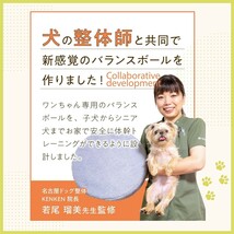 新品未開封☆定価10,780円 ＋won（プラスワン）犬用 バランスドギー 新感覚 ドッグ用 バランスボール 筋トレ 筋肉 足腰 高齢犬 健康維持 _画像5