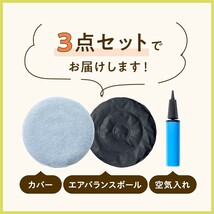 新品未開封☆定価10,780円 ＋won（プラスワン）犬用 バランスドギー 新感覚 ドッグ用 バランスボール 筋トレ 筋肉 足腰 高齢犬 健康維持 _画像8