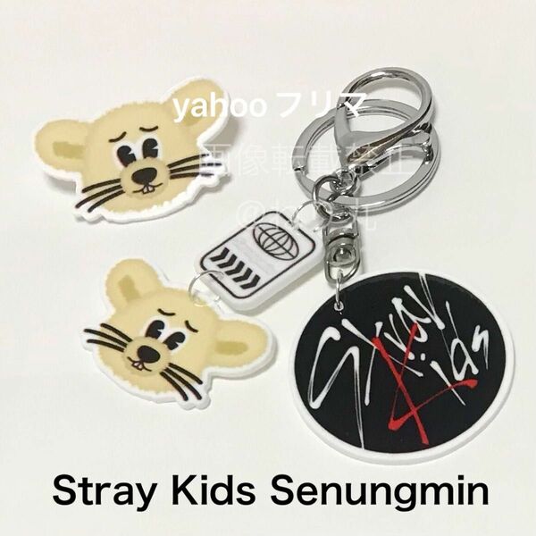 【1セット限定】韓国製作者 マスタニム Stray Kids Super Bowl スキチュウ キーリング＆バッジセット スンミン