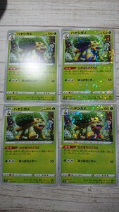 送料63円～ 即発送 ハヤシガメ 4枚(内ミラー2枚) ひだまりのこうら 同梱可