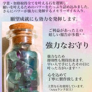 ＊合格祈願・学業成就・成績向上などに＊成績アップ＊強力なお守り＊