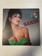 【愛知県】SANDii レコード　美品_画像1