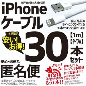 iPhone ライトニングケーブル USB 1m 携帯 充電器ケーブル Appleアップル用 