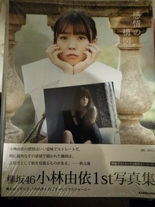 欅坂46時代 小林由依1st写真集『感情の構図』ポストカード付き『送料無料』