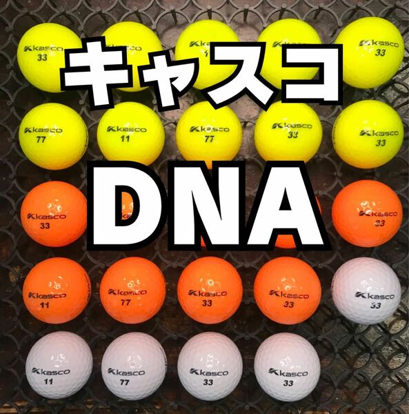4 キャスコ DNA ロストボール24球