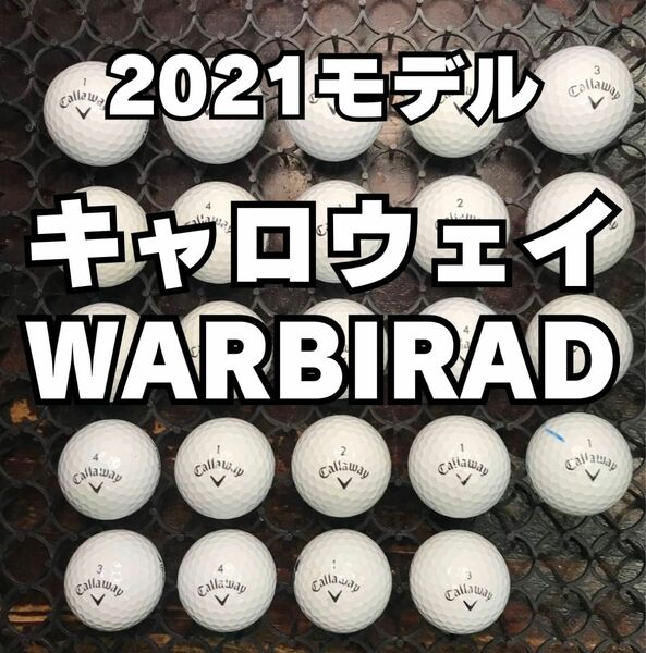 4 2021モデル キャロウェイ WARBIRAD 24球 ロストボール