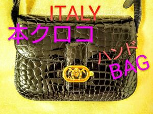 イタリア製 クロコダイル 2ウェイ バッグ 最高級 シャイン クロコ ハンドバッグ 革 BAG レトロ ヴィンテージ