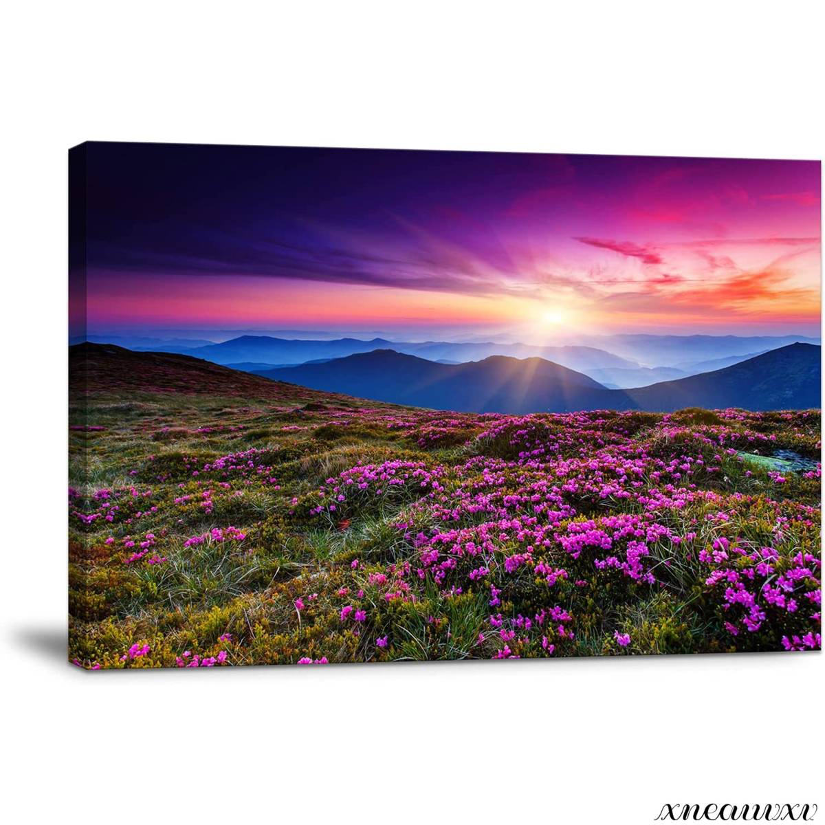 Large Size Spectacular Art Panel Natural Scenery Flower Sunrise Interior Wall Hanging Room Decor Decoration Canvas Painting Stylish Art Appreciation Living Room, artwork, painting, graphic