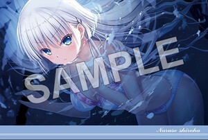 Summer Pockets 展 ジーストア限定特典 ポストカード 鳴瀬しろは 06 サマーポケッツ サマポケ key