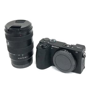 1円 SONY a6600 E 2.8/16-55 G ミラーレス一眼 デジタルカメラ レンズ