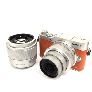 1円 Panasonic DC-GF9 G VARIO 1:3.5-5.6/12-32 ASPH G 1:1.7/25 ASPH ミラーレス一眼カメラ レンズ C241522