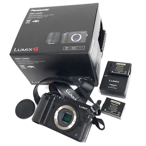 Panasonic LUMIX DMC-GX8 ミラーレス一眼 デジタルカメラ QR022-375