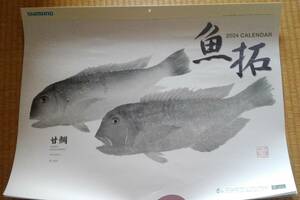 カレンダー☆魚拓☆2024年/令和6年☆ シマノ☆壁掛けカレンダー☆店名印無