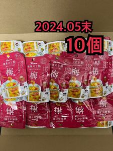 カンロ kanro 健康のど飴 31種のいたわり素材 梅 のど飴 小袋 10個 セット ジッパー付き