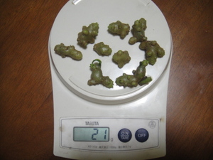 ★野菜種子★雲南百薬オカワカメ 種子20g