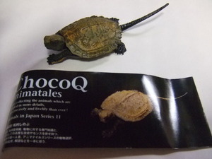  chocolate Q japanese animal * no. 11.* Japan isigame(. body )*242