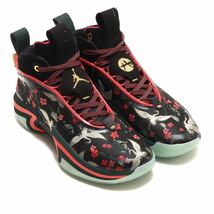 【新品未使用】JORDAN BRAND AIR JORDAN XXXVI RUI PF ナイキ エア ジョーダン XXXVI RUI PF（DV5266-073）黒赤26cm箱無し_画像2