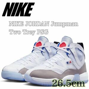 【新品未使用】ナイキ ジャンプマン ツー トレイ PSG NIKE JORDAN Jumpman Two Trey PSG ホワイト/パミス/（DX6551-104）白青26.5cm箱無し