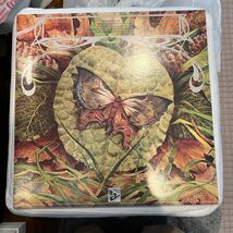 1979年作品　SPYRO GYRA 送料無料スパイロ・ジャイラ　お値打ち品　ヴィンテージレコード　オールドレコード　モーニング・ダンス送料無料_画像7