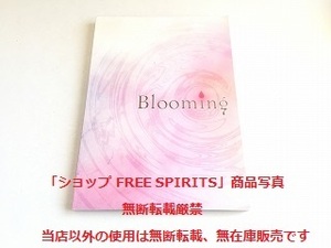 「ミュージカル ヘタリア　Final Live Photo Book 　Blooming」美品/フォトブック/ポストカード付