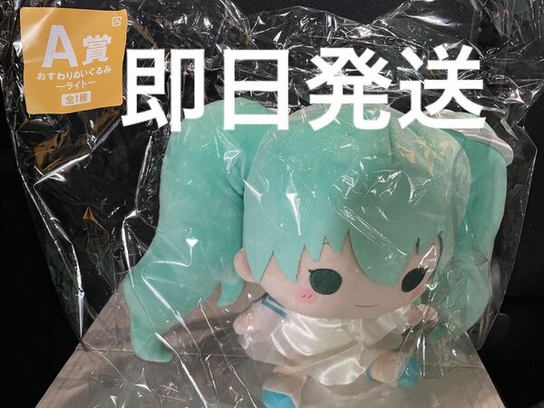 初音ミクmemorial collection みんなのくじ　A賞ぬいぐるみ