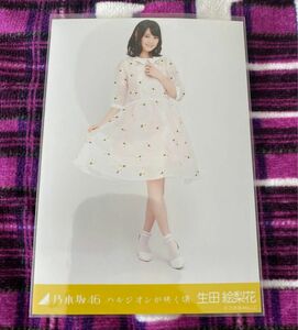 乃木坂46 生田絵梨花 生写真 ハルジオンが咲く頃 ヒキ