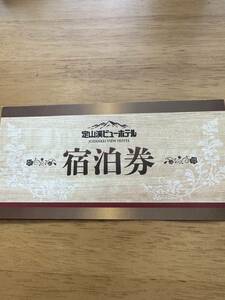 [格安] 定山渓ビューホテル ペアー宿泊券 夕食付き 朝食付き