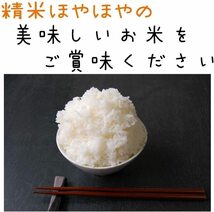 【玄米】新米　産地直送！令和5年産 埼玉県産 コシヒカリ 玄米 30kg 未検査米 おいしいお米_画像3