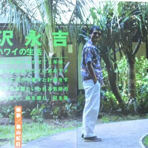 矢沢永吉 切り抜き 歌手 インタビュー記事 撮影・篠山紀信 ハワイの生活の画像1