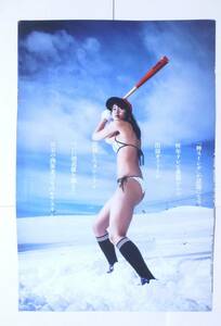 稲村亜美　切り抜き　グラビア　タレント　水着　