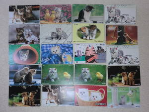 1c014 テレカ 使用済 テレホンカード 20枚 猫シリーズ コレクション 蒐集