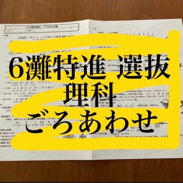 日能研 6年 灘特進 選抜コース 理科資料 ごろあわせ編