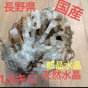 長野県　天然水晶　栗生水晶山産　水晶　原石　1.6キロ　大サイズ　早い者勝ち　