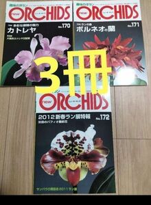 ニューオーキッド 趣味の洋ラン ORCHIDS　趣味の洋ラン　 ニューオーキッド　 No170　171 　172