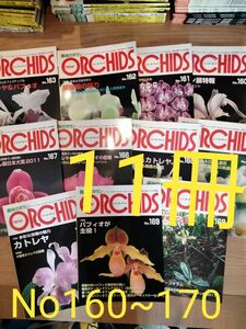 ORCHIDS ニューオーキッド趣味の洋らん　 ニューオーキッド No160~170　　11冊 趣味の洋ラン